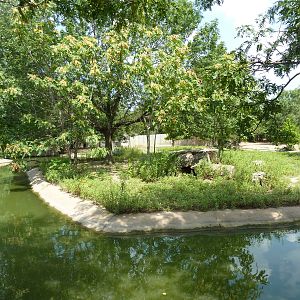 Slender-Horned Gazelle/Warthog Enclosure