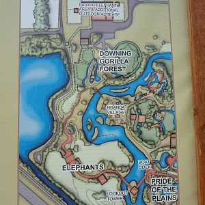 Secton Of Zoo's Master Plan - Elephant Complex