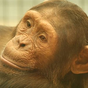 Tumba - 30 July 2010