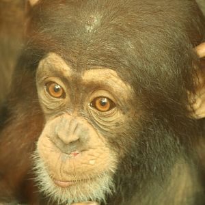 Talia - 30 July 2010