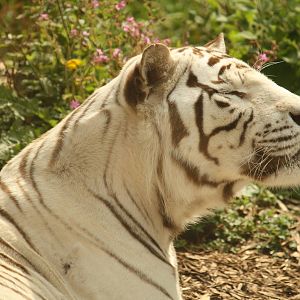 Sasha - 30 July 2010