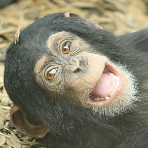 Talia - 30 July 2010