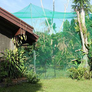 Talarak Rescue Center Prerelease and Rehab Aviary
