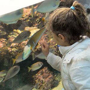 close-up with the fish July 2010