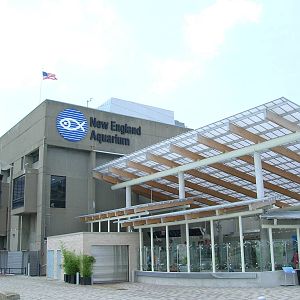 New England Aquarium Rear