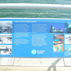 New England Aquarium Main Entrance
