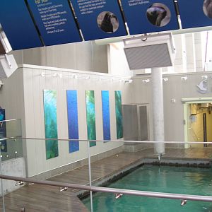 New Balance Foundation Marine Mammal Center