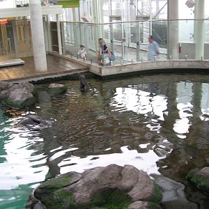 New Balance Foundation Marine Mammal Center