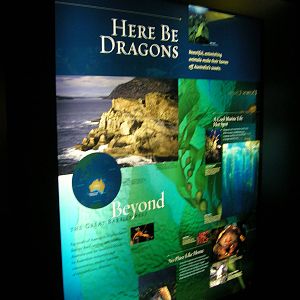 Sea Dragon Exhibit