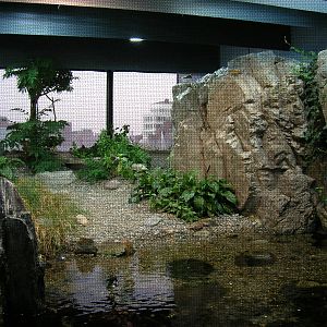 Shorebirds of Boston Harbor Exhibit