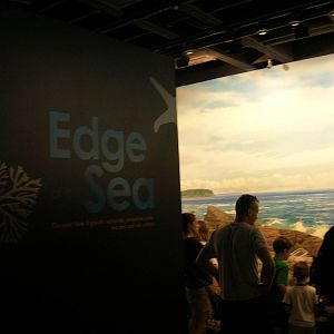 Edge of the Sea Touch Pool