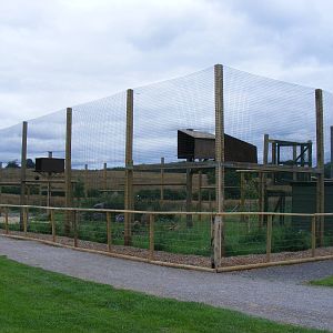 White-headed vulture enclosure at Noah's Ark Zoo Farm, 31 July 2010