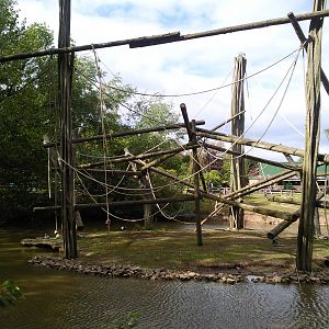 king colobus enclosure/island