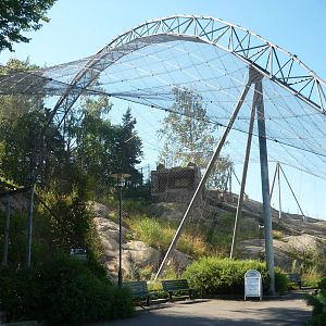 Bearded Vulture Exhibit 1