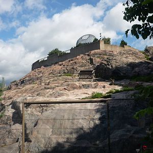 Alpine Ibex Exhibit 2