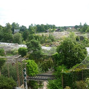 Overview on Carnivore Exhibits from the outlook