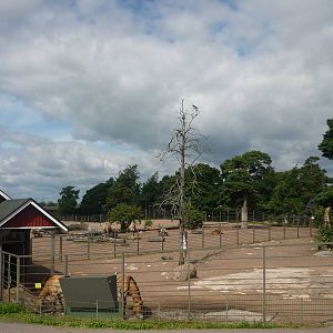 Takhi and Bactrian Camel Exhibits