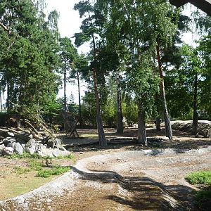 Mishmi Takin Exhibit