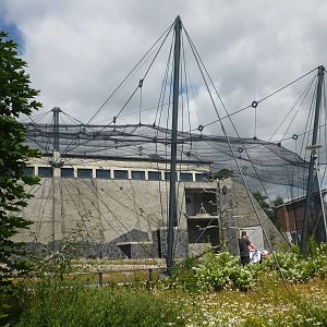 Steller's Sea Eagle Exhibit 1