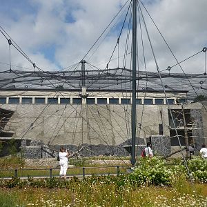 Steller's Sea Eagle Exhibit 3