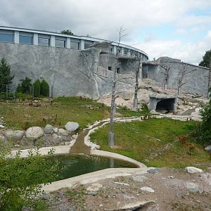 European Brown Bear Exhibit