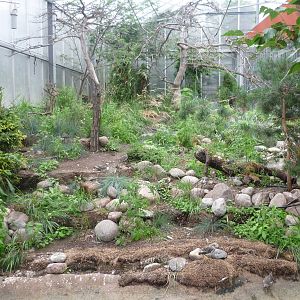 Boreal Forest Exhibit