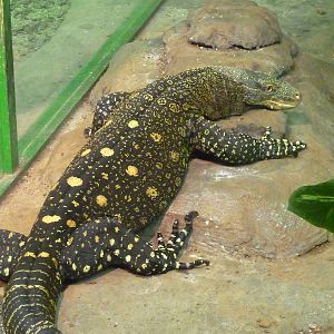 Helsinki Tropicario Reptile Zoo