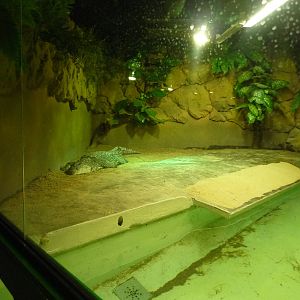 Helsinki Tropicario Reptile Zoo