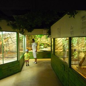 Helsinki Tropicario Reptile Zoo