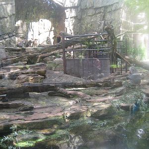 Antwerp Zoo - July 2010