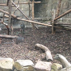 Antwerp Zoo - July 2010