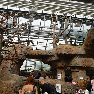 South African Exhibits