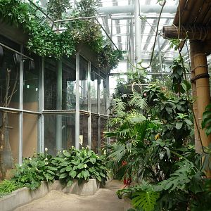South American Rainforest Exhibits