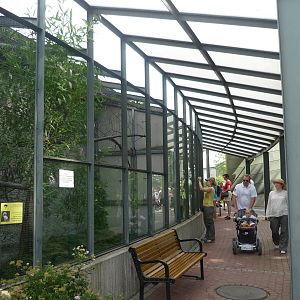 Outdoor Exhibits for South American primates