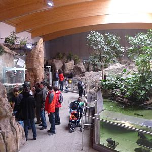 Zoo Schmiding