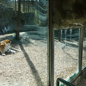 Zoo Schmiding