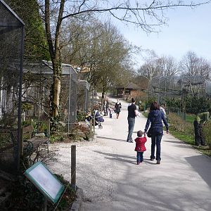 Tiergarten Linz