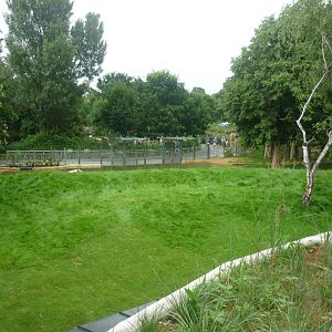 New South American Area