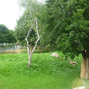 New South American Area