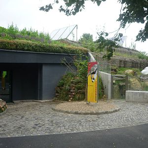 New South American House