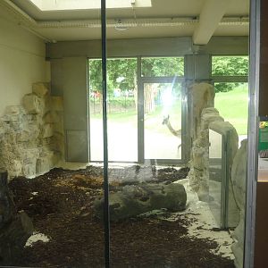 New South American House