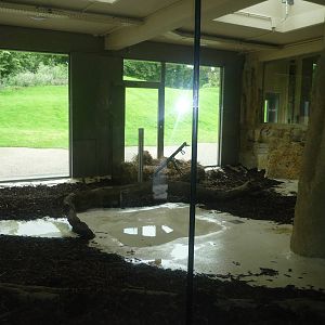 New South American Area