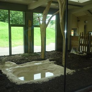 New South American Area