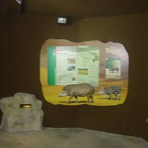 New South American Area