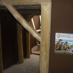 New South American Area