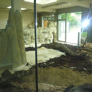 New South American Area