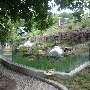 New South American Area