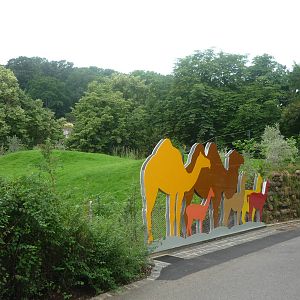 New South American Area