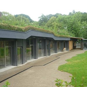 New South American Area