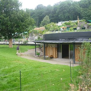 New South American Exhibit